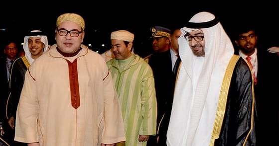 ســـر مشاركة الشيخ محمد بن زايـــد آل نهيــــان في المسيــــرة الخضـــــــــراء