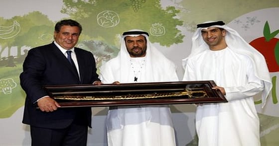 الإمــارات تدعــم المغـرب فنـيًّــا ولـــوجستكـيا لإنجـــــــاح قمـة المنــــــــــاخ بمراكـــش