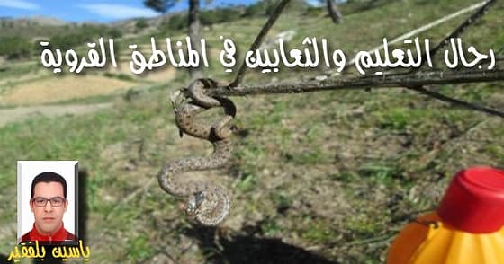 رجـال التعليـــــــم والثعـابيــــــــن فـي المنــاطق القرويـــــــــــــة