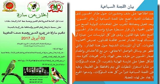 مسابقــــــة تغريـد طائـر الحسـون.. من مؤسسـة صديقـة للبيئــة إلــى مؤسســـــة… !!!؟؟؟