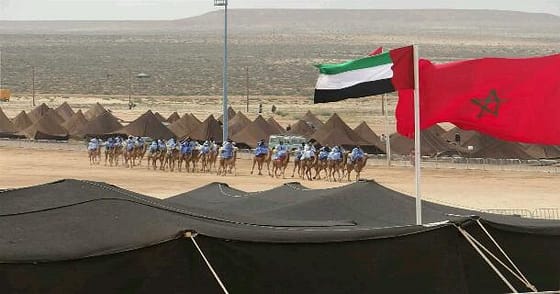 تحـت شعـــار “موسـم طانطان موروث ثقافـي مغربـي ببعـد إفريقـي” ومشاركة إماراتيـة فعالـة