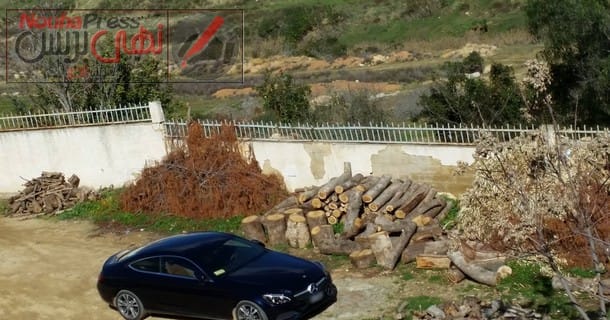 16492517_1824116711146421_70033022_o